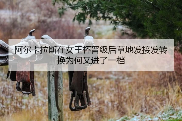 a-er-ka-la-si-zai-nv-wang-bei-jin-ji-hou-cao-di-fa-jie-fa-zhuan-huan-wei-he-you-jin-le-yi-dang-2-516.jpg